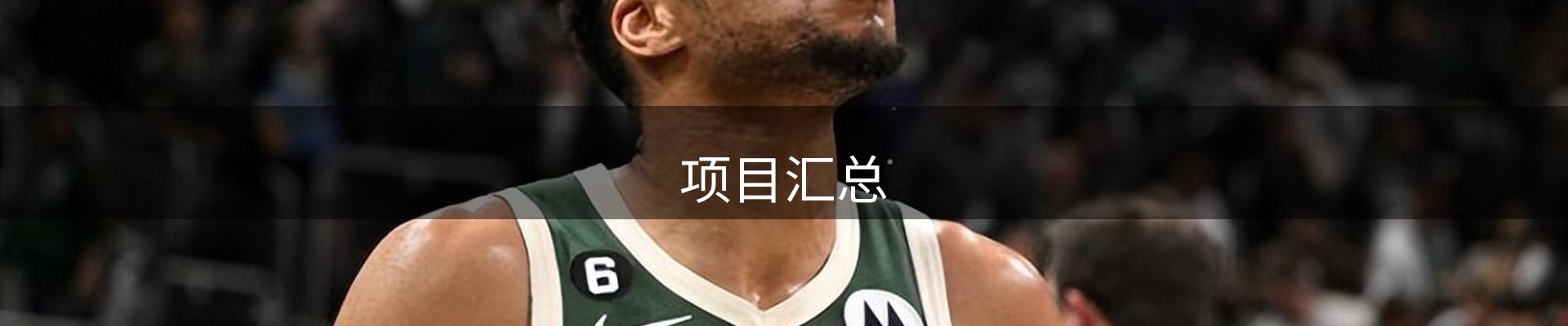 项目汇总